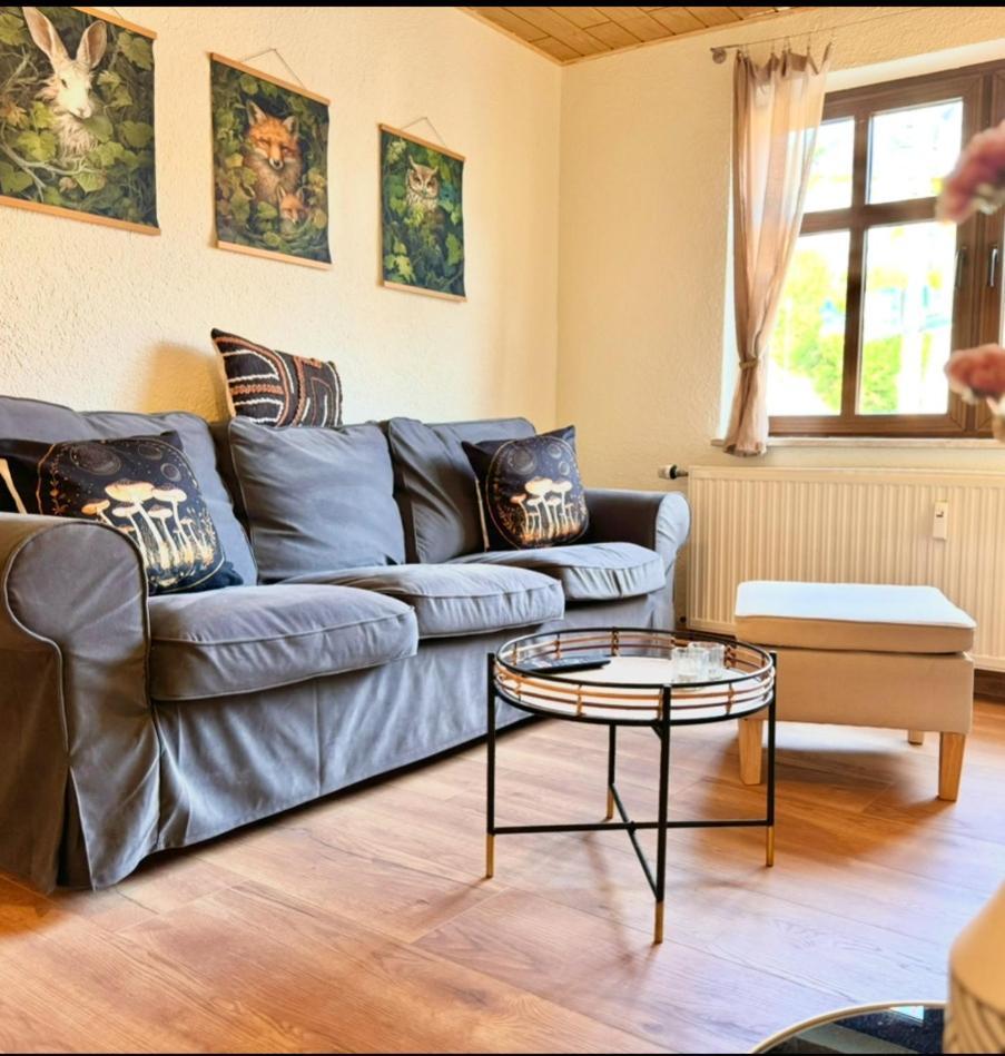 Nahe Schloss Kuckuckstein,infrarotsauna, Hunde Apartment